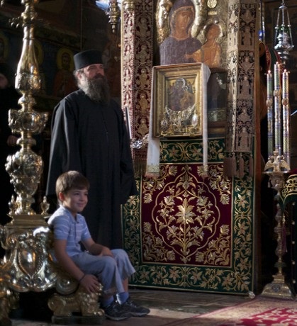 vsezariza_vatoped.jpg