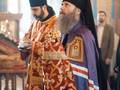 Светлый вторник 1100