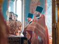 Светлый вторник 1104